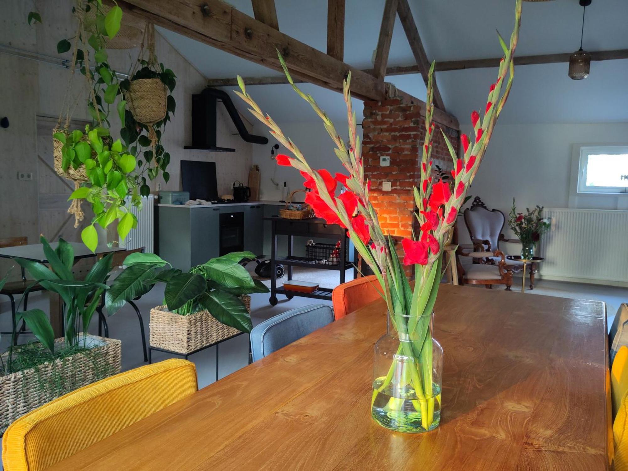 'T Voske Bed and Breakfast Zundert Buitenkant foto