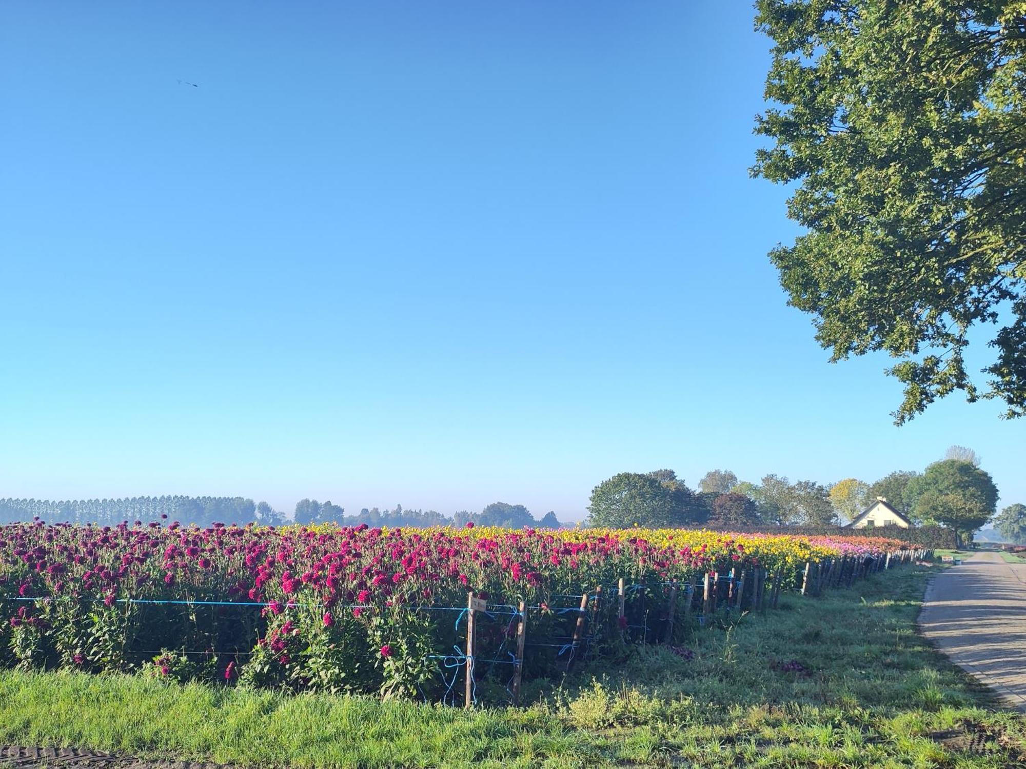 'T Voske Bed and Breakfast Zundert Buitenkant foto