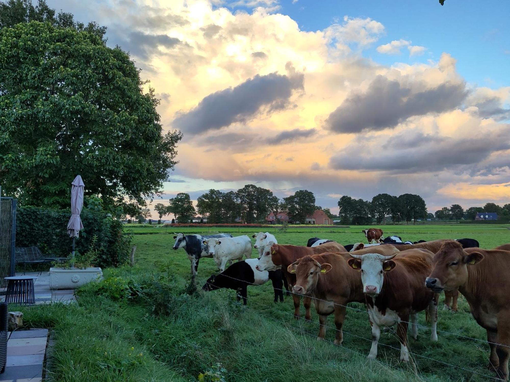 'T Voske Bed and Breakfast Zundert Buitenkant foto