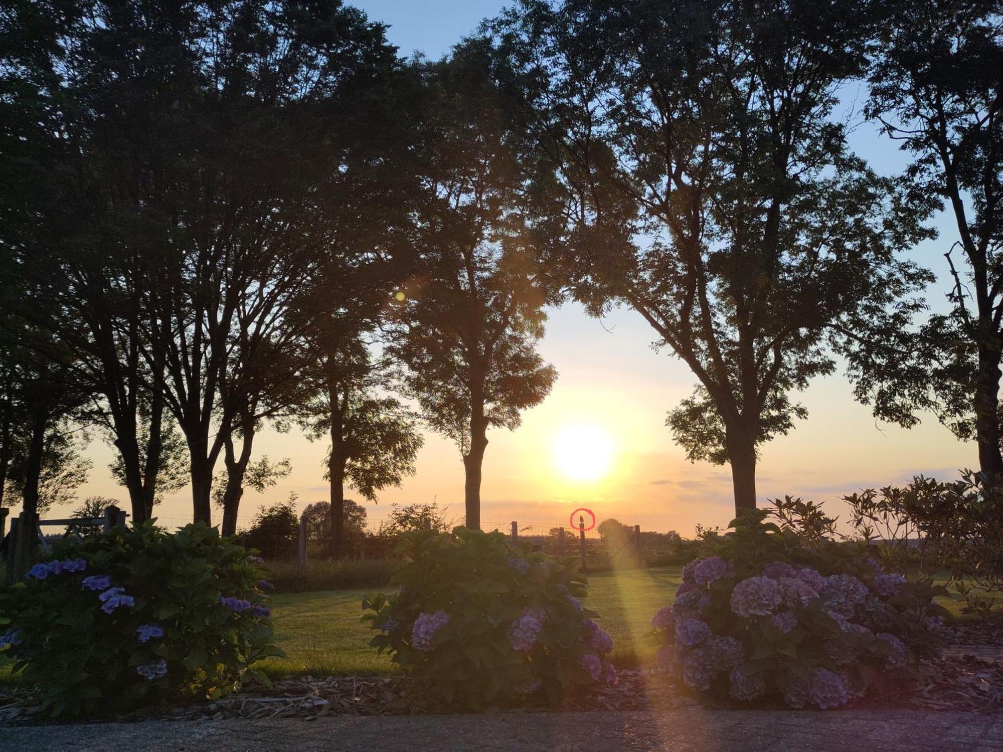 'T Voske Bed and Breakfast Zundert Buitenkant foto