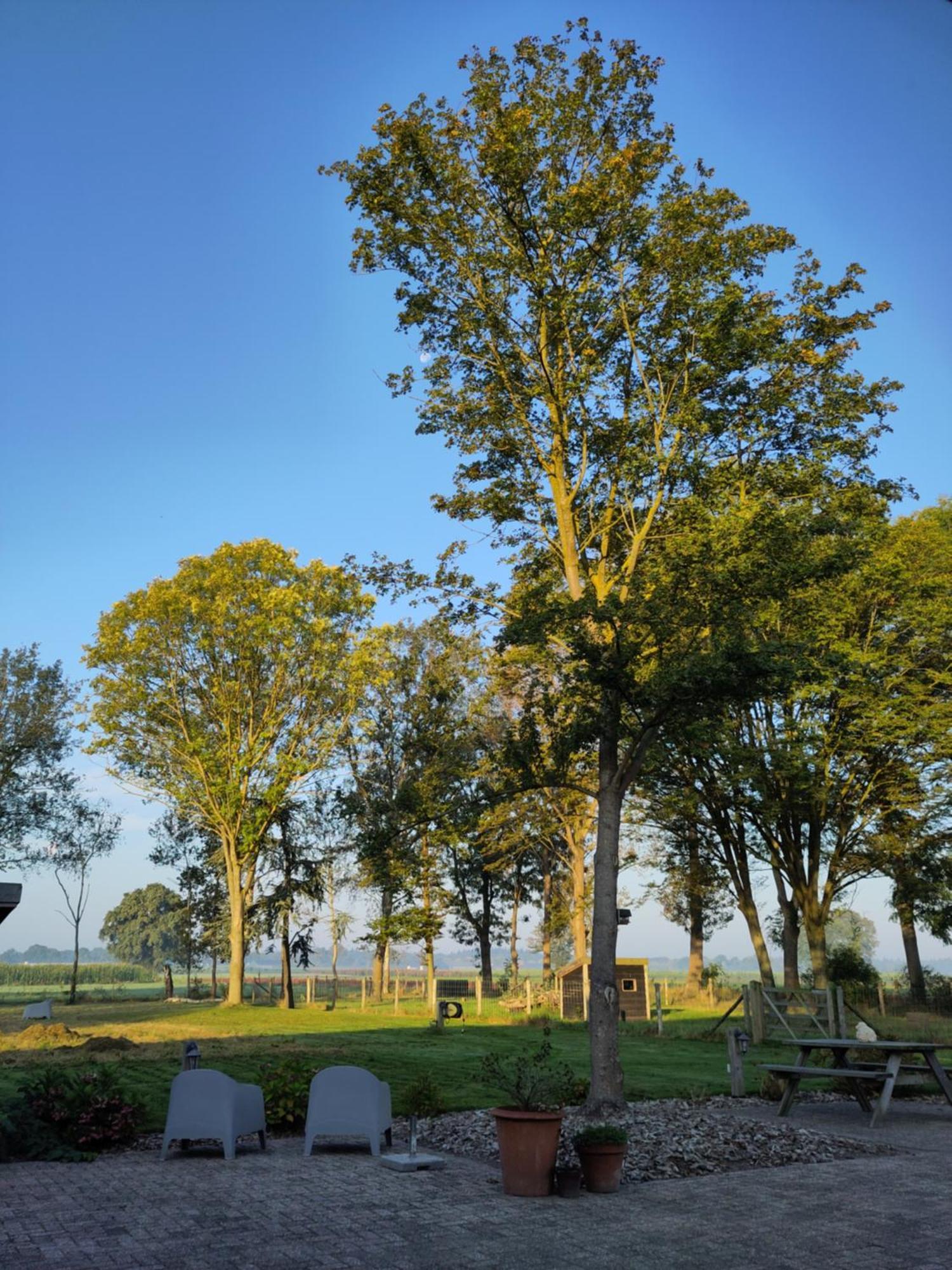 'T Voske Bed and Breakfast Zundert Buitenkant foto